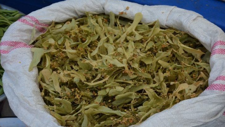 Ihlamura talep arttı, kilosu 130 lira