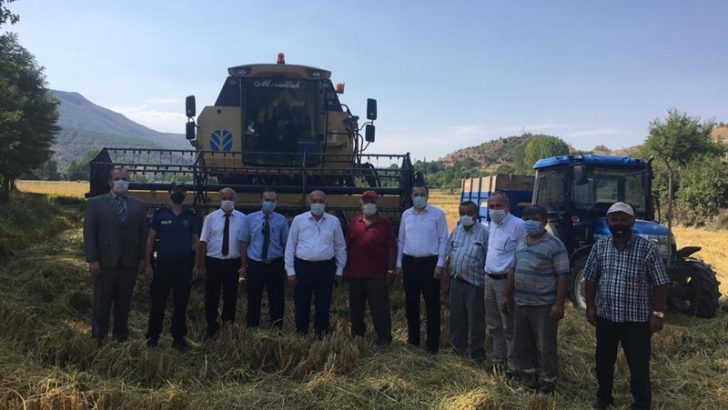 Saraydüzü İlçemizde Çeltik Hasadı Başladı!