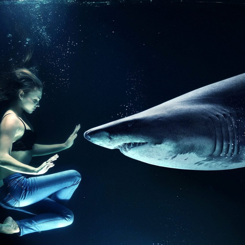 MAVİ AY AJANS DERGİ ÇALIŞMALARIMIZDAN