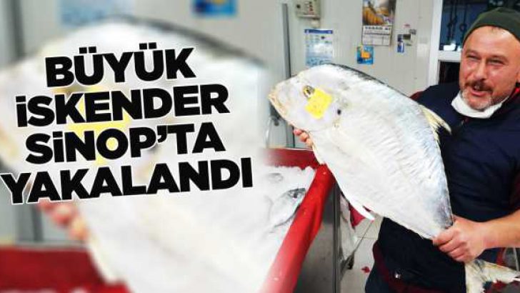 İSKENDER BALIĞI SİNOP’TA