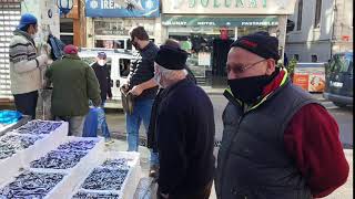 SİNOP’TA BU GÜN BALIK PİYASASI(27/11/2020)