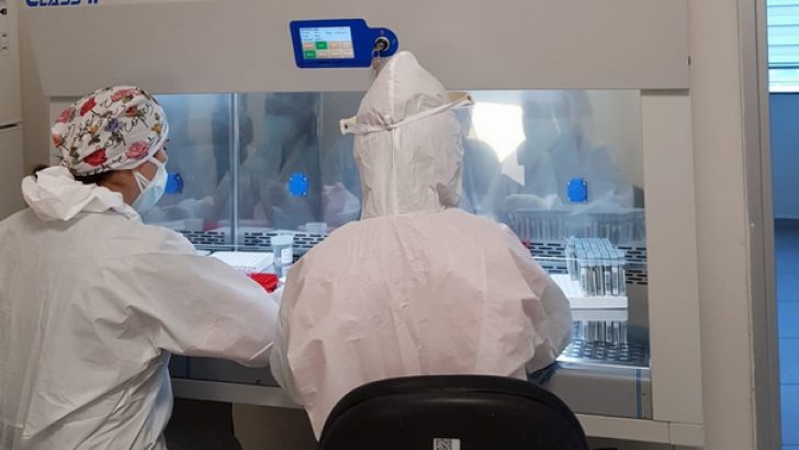 SİNOP’TA AYNI GÜNDE COVİD-19 TEST SONUCU