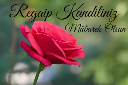 REGAİP KANDİLİMİZ MÜBAREK OLSUN
