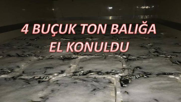 4 BUÇUK TON BALIĞA EL KONULDU