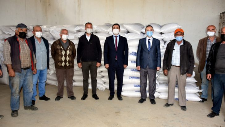 ÇİFTÇİLERE YÜZDE 50 DESTEKLİ ÇELTİK DAĞITIMI