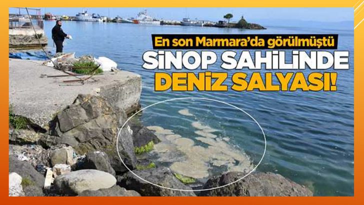 SİNOP’TA DENİZ SALYASI GÖRÜLDÜ